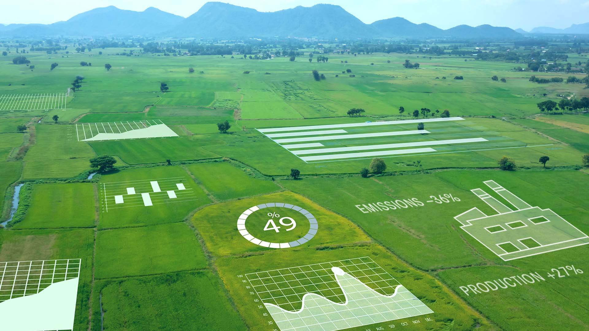 Imágenes y gráficos de métricas operativas superpuestos en un mosaico de campos